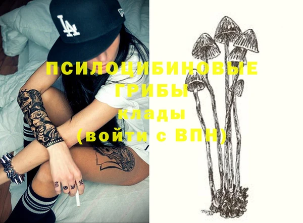 крисы Нефтегорск