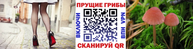 Псилоцибиновые грибы мицелий  Ейск 